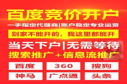 百度竞价SEM成功案例：揭秘广告投放秘诀